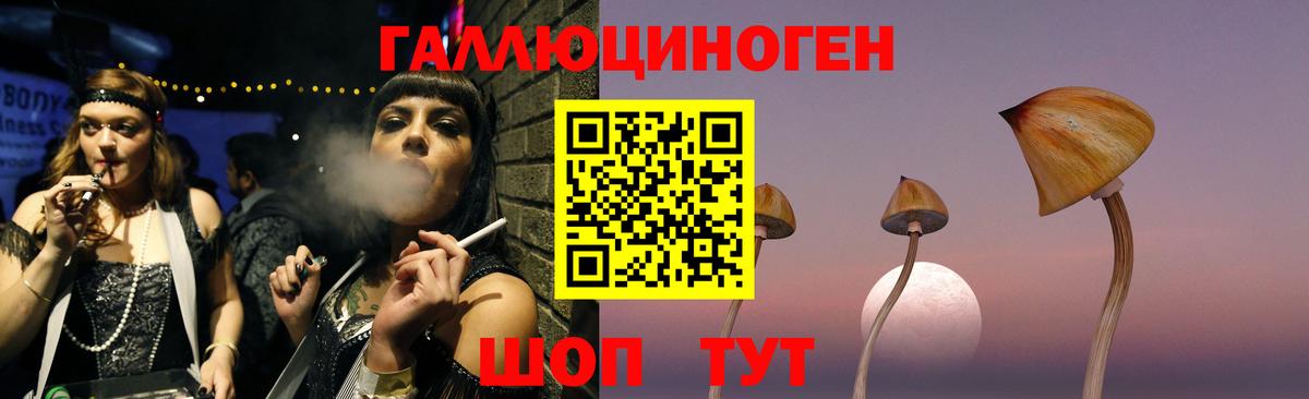 Псилоцибиновые грибы Psilocybine cubensis  Вход с VPN  Муравленко 
